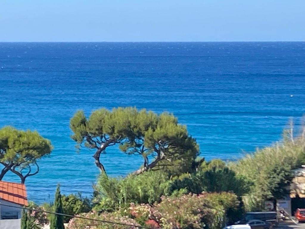 Apartment Face A La Mer, Et Son Cap Canaille *
